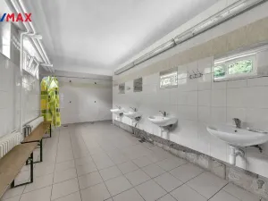 Prodej ubytování, Vysoká Srbská, 900 m2