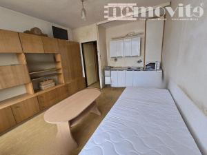 Prodej bytu 1+kk, Chomutov, Seifertova, 20 m2