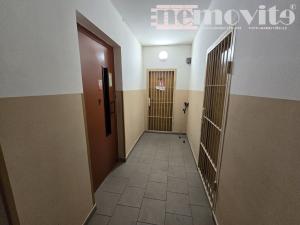 Prodej bytu 1+kk, Chomutov, Seifertova, 20 m2