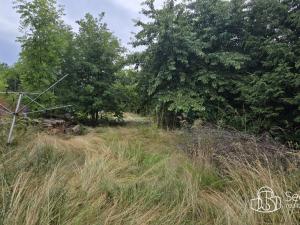 Prodej rodinného domu, Svatava, Kraslická, 150 m2