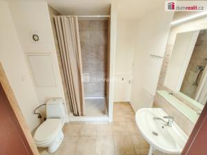 Pronájem bytu 2+kk, Lovosice, Dlouhá, 44 m2