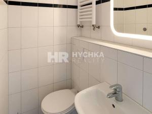 Pronájem bytu 1+kk, Praha - Střížkov, Děčínská, 25 m2