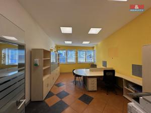 Pronájem kanceláře, Slapy, 310 m2