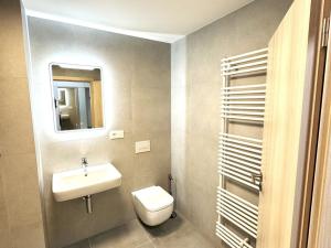 Pronájem bytu 1+kk, Opava, Císařského pluku, 34 m2