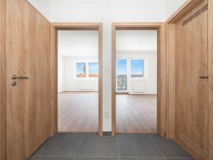 Prodej bytu 3+kk, Hustopeče, Alejní, 89 m2