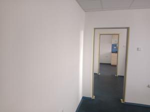 Pronájem výrobních prostor, Kolín, 4205 m2