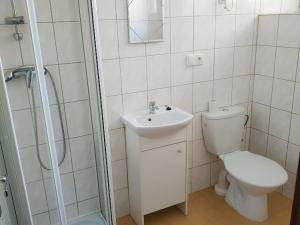 Pronájem atypického bytu, Česká Lípa, 42 m2
