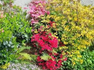 Prodej rodinného domu, Praha - Klánovice, Rodovská, 209 m2