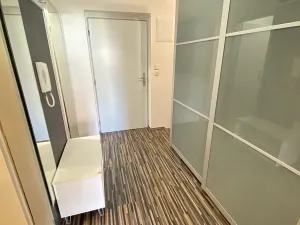 Pronájem bytu 1+kk, Holubice, Platanová, 48 m2