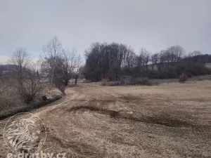 Dražba rybníku, Všepadly, 81215 m2