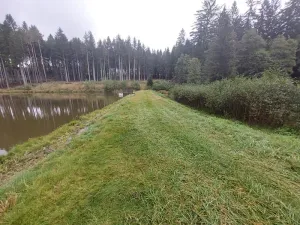 Pronájem rybníku, Brtnice, 6364 m2