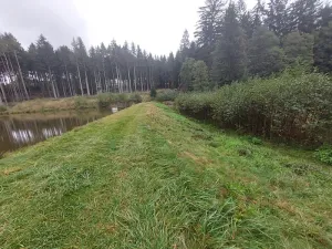 Pronájem rybníku, Brtnice, 6364 m2