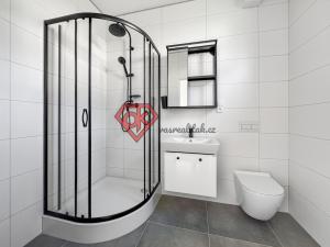 Pronájem bytu 1+kk, Jablonné nad Orlicí, Hradisková, 31 m2