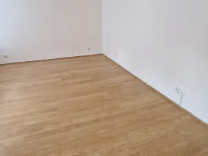 Pronájem bytu 1+1, Krupka, Koněvova, 48 m2