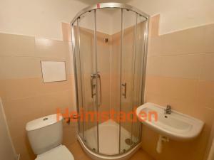 Pronájem bytu 1+kk, Ostrava - Mariánské Hory, Boleslavova, 19 m2