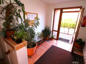 Pronájem bytu 1+kk, Brno - Dolní Heršpice, Chleborádova, 34 m2