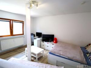 Pronájem bytu 1+kk, Brno - Dolní Heršpice, Chleborádova, 34 m2