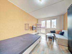 Pronájem bytu 3+1, Jindřichův Hradec, Kosmonautů, 82 m2