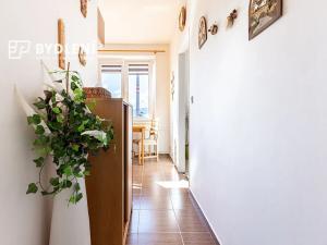 Prodej bytu 2+1, Teplice, Libušina, 51 m2