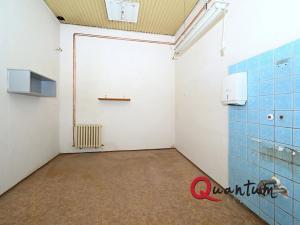 Pronájem skladu, Příbram, Prokopská, 1100 m2
