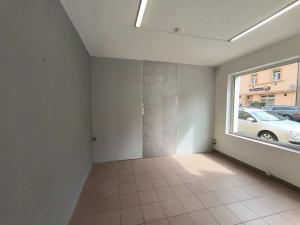 Pronájem obchodního prostoru, Lovosice, Dlouhá, 18 m2