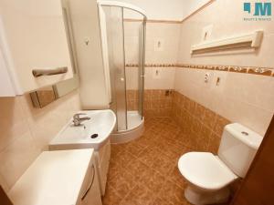 Pronájem bytu 1+kk, Velké Meziříčí, U Statku, 32 m2