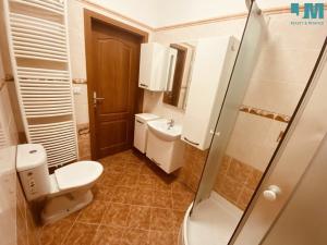 Pronájem bytu 1+kk, Velké Meziříčí, U Statku, 32 m2