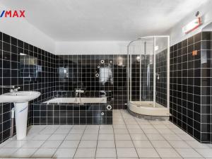 Prodej rodinného domu, Brniště - Luhov, 250 m2