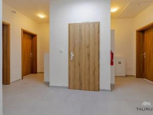 Prodej bytu 2+1, Janovice nad Úhlavou, Rozvojová zóna, 75 m2