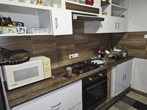 Prodej činžovního domu, Šlapanov, 310 m2