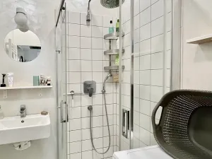 Pronájem bytu 2+1, Brno, Gorkého, 40 m2
