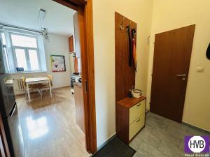 Pronájem bytu 1+1, Plzeň, Plachého, 40 m2