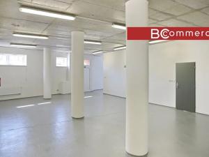 Pronájem obchodního prostoru, Brno, 145 m2