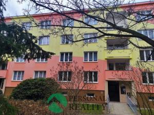 Pronájem bytu 1+1, Sokolov, Seifertova, 38 m2