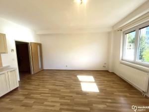 Pronájem bytu 1+kk, Olomouc, Fischerova, 37 m2