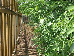 Prodej zahrady, Litvínov - Horní Litvínov, 494 m2