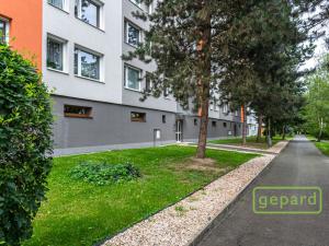 Pronájem bytu 1+kk, Praha, Tesaříkova, 29 m2