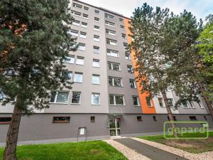 Pronájem bytu 1+kk, Praha, Tesaříkova, 29 m2