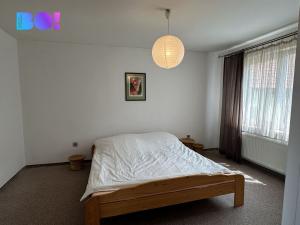 Pronájem rodinného domu, Nový Jičín - Kojetín, 270 m2