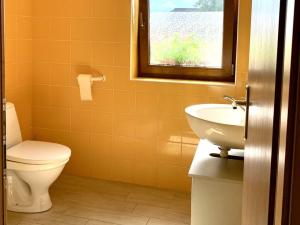 Pronájem bytu 1+kk, Drmoul, 40 m2