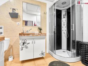 Pronájem bytu 2+kk, Karlovy Vary - Rybáře, Sokolovská, 35 m2