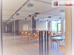Pronájem bytu 1+kk, Mladá Boleslav, Vondřichova, 43 m2