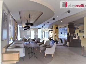 Pronájem bytu 1+kk, Mladá Boleslav, Vondřichova, 43 m2