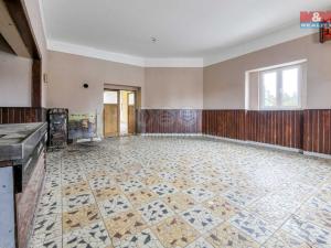 Prodej restaurace, Neurazy - Vojovice, 245 m2