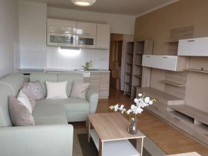 Pronájem bytu 1+kk, Liberec, Ruská, 29 m2