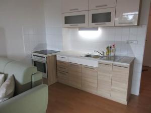 Pronájem bytu 1+kk, Liberec, Ruská, 29 m2