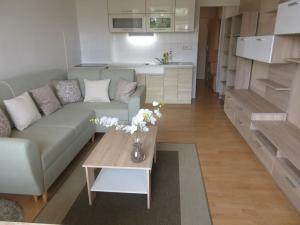 Pronájem bytu 1+kk, Liberec, Ruská, 29 m2