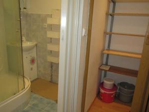 Pronájem bytu 1+kk, Liberec, Ruská, 29 m2