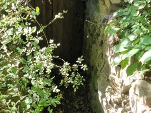 Prodej pozemku pro bydlení, Habrůvka, 977 m2