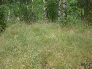 Prodej zahrady, Krušovice, 2700 m2